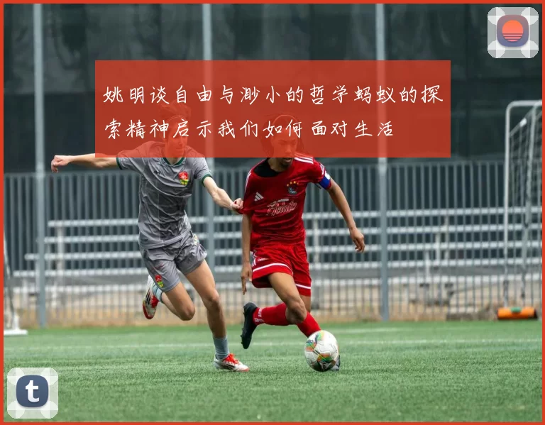 姚明谈自由与渺小的哲学蚂蚁的探索精神启示我们如何面对生活