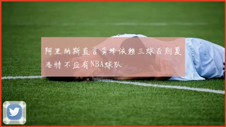 阿里纳斯直言黄蜂依赖三球否则夏洛特不应有NBA球队